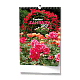 image.jpg, 80x80