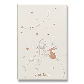 Obrázek produktu Súprava Moleskine Le Petit Prince - L, zápisník a diár, zberateľská edícia