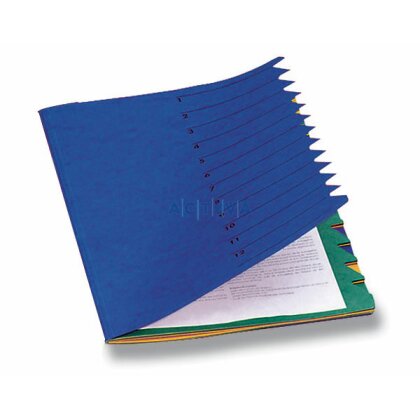 Obrázek produktu Pagna - třídicí desky s barevnými listy - 12 oddílů, modrá