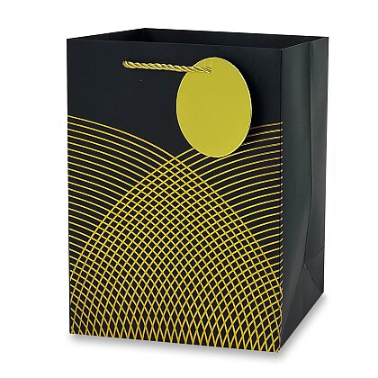 Obrázek produktu Dárková papírová taška - velikost S, black