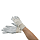 vel. 8