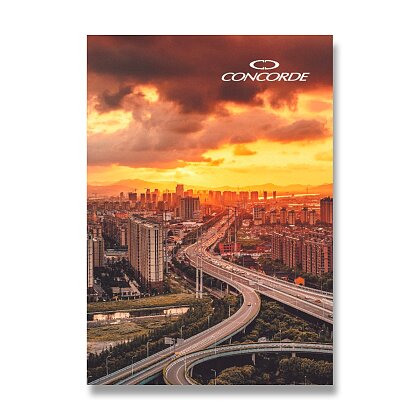 Obrázok produktu CONCORDE - záznamová kniha - A6 čistá, 100 listov, mix motívov