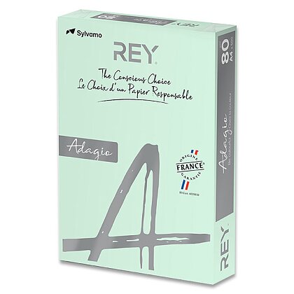 Obrázek produktu Rey Adagio - barevný papír - zelený