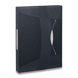 Levně Esselte Vivida - box na spisy - A4, černý