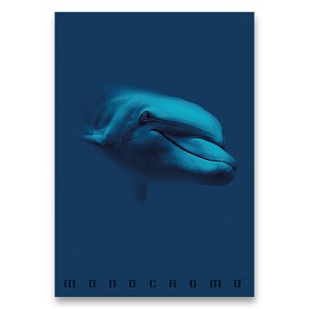 Obrázek produktu Školní sešit Monocromo Blue - A4, linkovaný, 40 listů, mix motivů