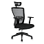 Náhledový obrázek produktu Office Pro Themis SP - kancelářská židle - černá